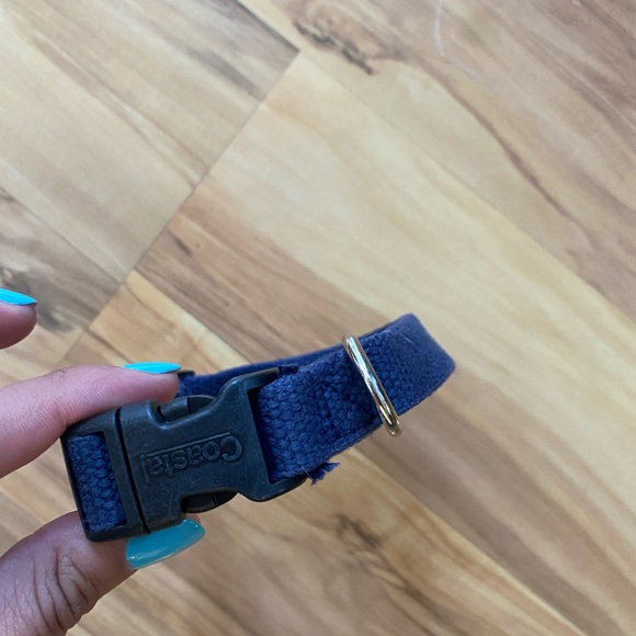 Treat your little fur ball size XS - Picture 10 of 16